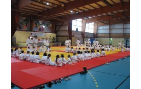 SOLIDARITE JUDO 2010/2011 LE 4 ET 5 DECEMBRE 2010