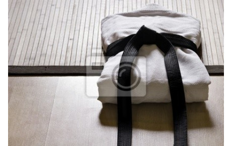 REPRISE DES ENTRAÎNEMENTS DE JUDO LE JEUDI 4 SEPTEMBRE 2014