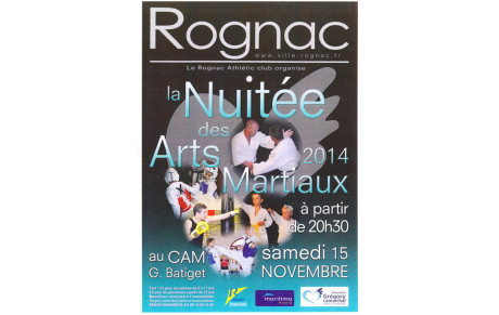 LA NUITEE DES ARTS MARTIAUX 2014